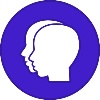 gemini img